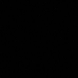 Meet your Posher, Maya